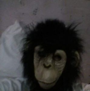 Meet your Posher, Pedro